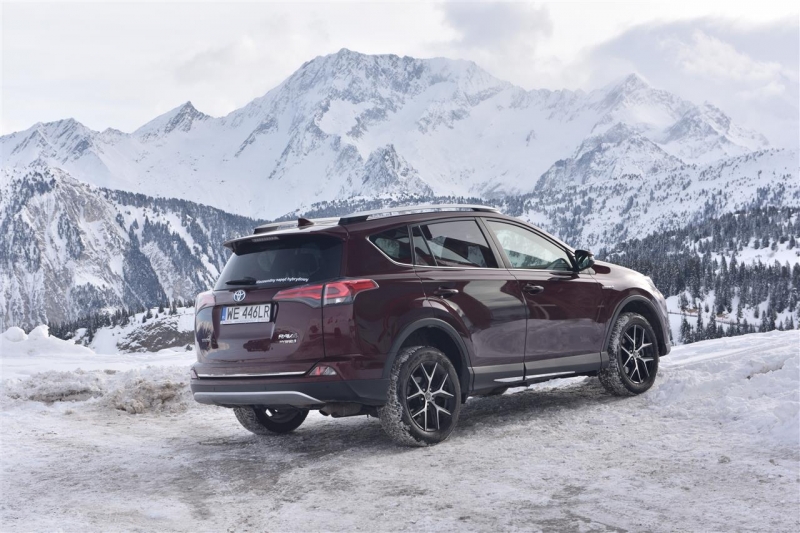 toyota_rav4_hybrid_bordo_5865